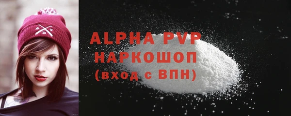 стаф Абинск