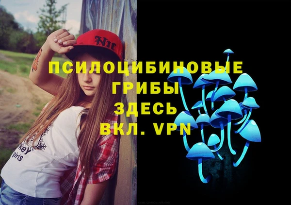 амф Абаза